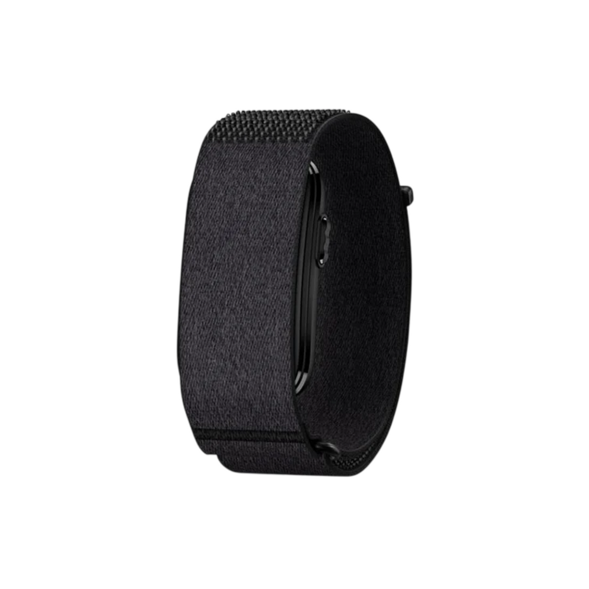 Garmin Cirqa Smart Band