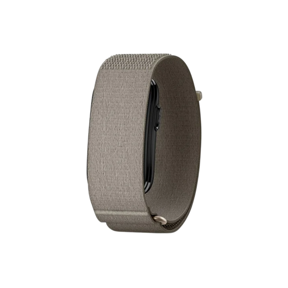 Garmin Cirqa Smart Band