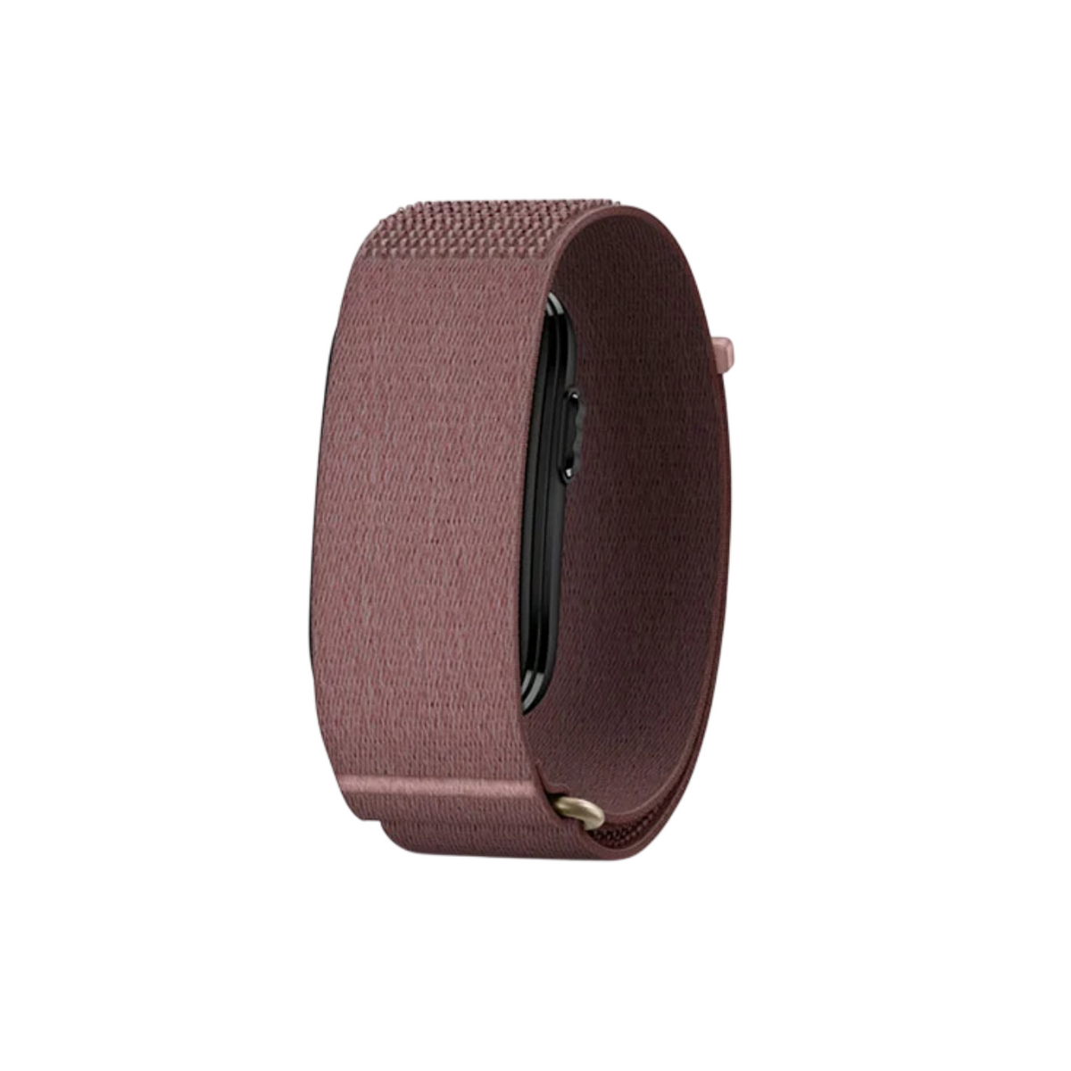 Garmin Cirqa Smart Band