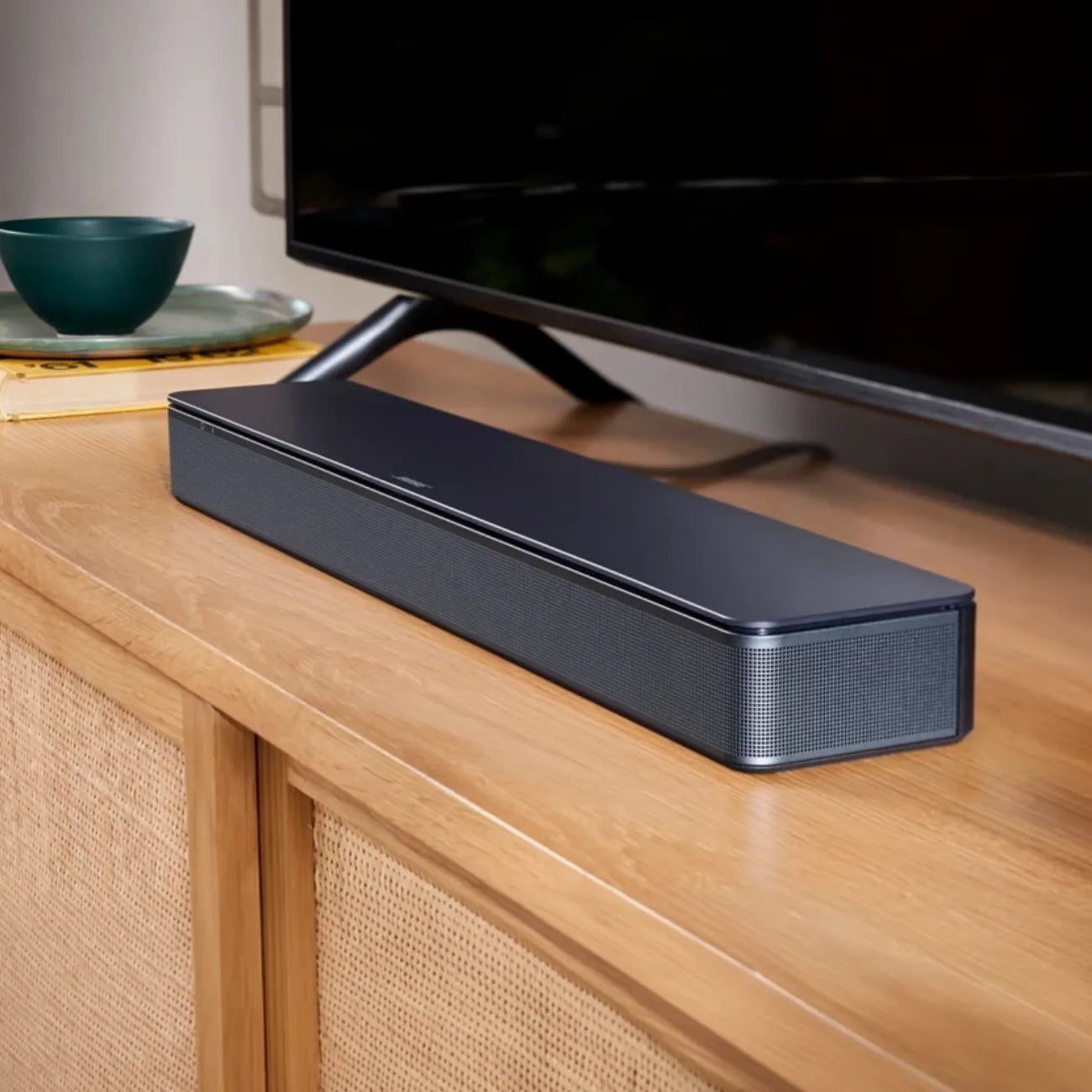 Bose TV Speaker