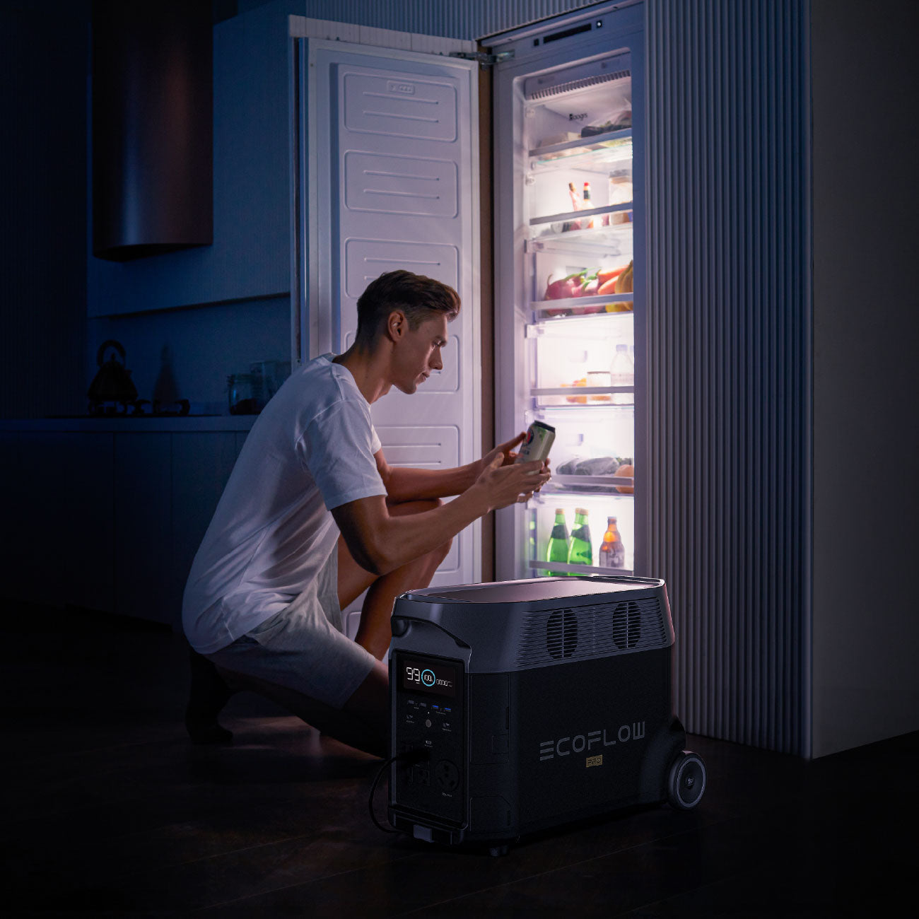 EcoFlow DELTA Pro Portable Power Station