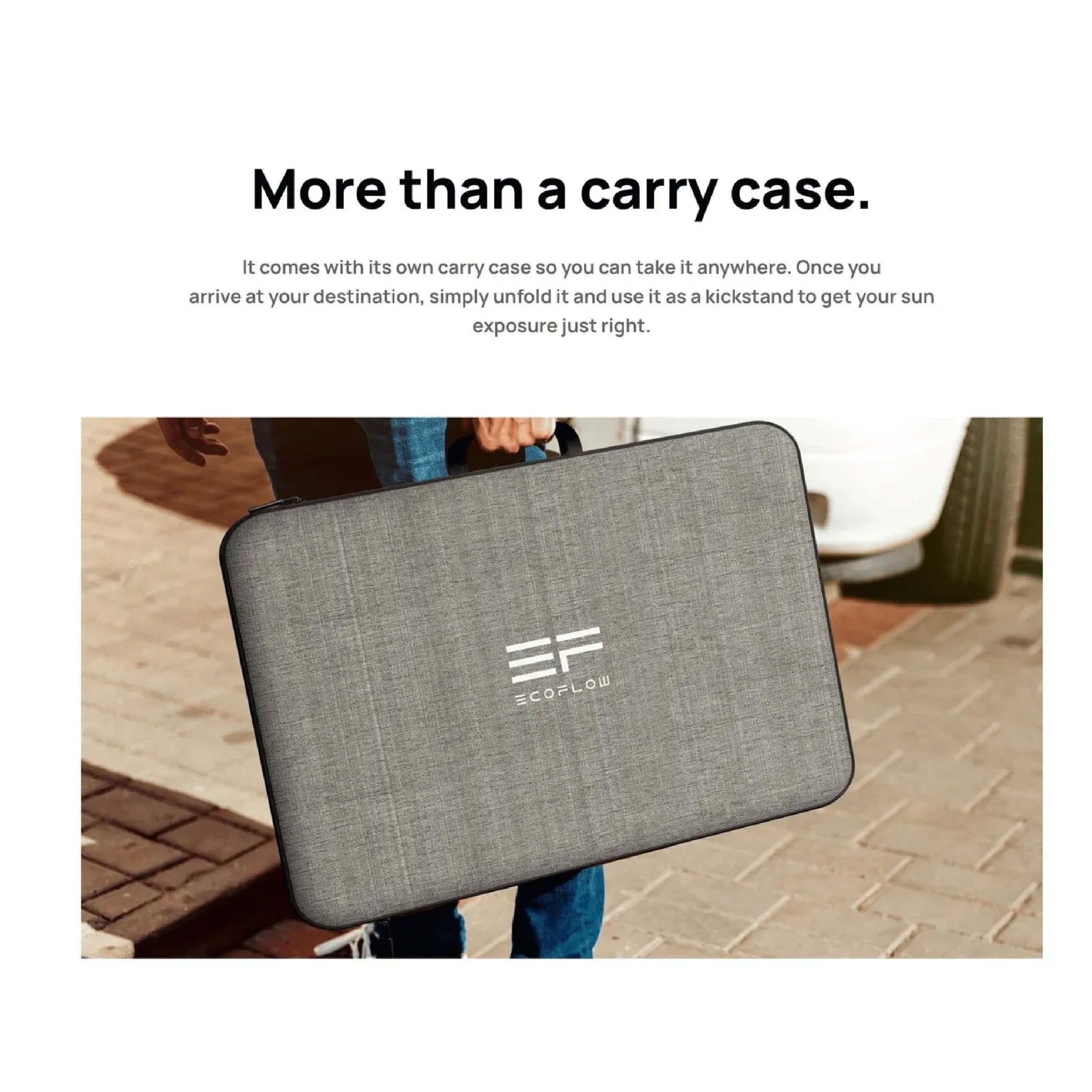 Ecoflow Solar Panel 220W (Bifacial)