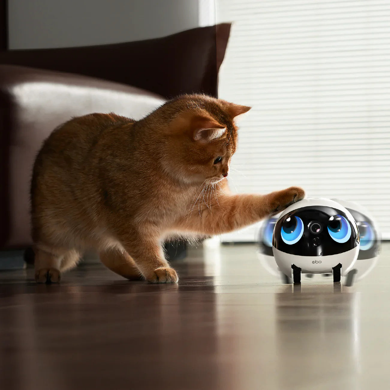 Enabot EBO Air 2S FamilyBot