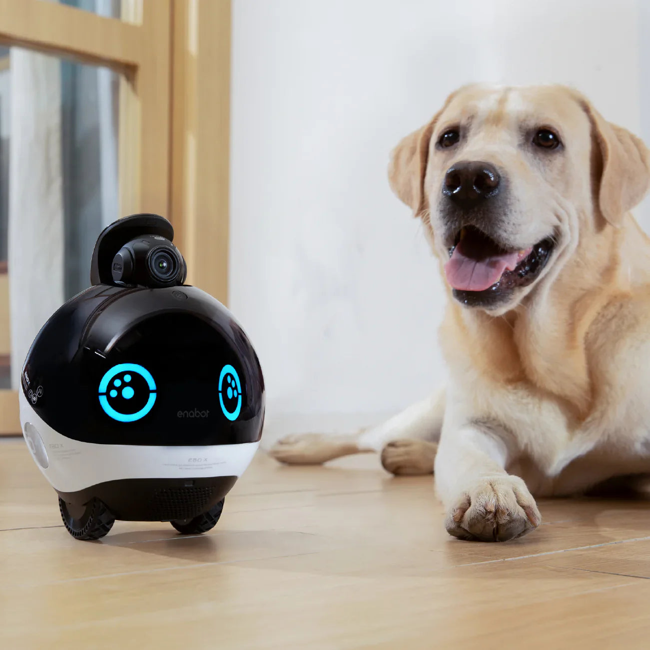 Enabot EBO X FamilyBot