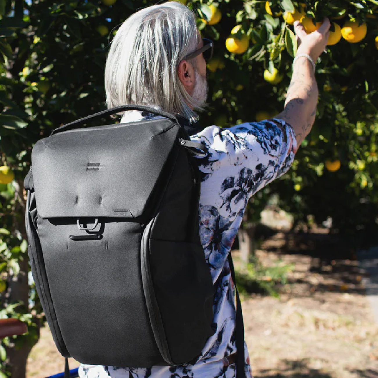 Peak Design Everyday Backpack 30L v2 - Black