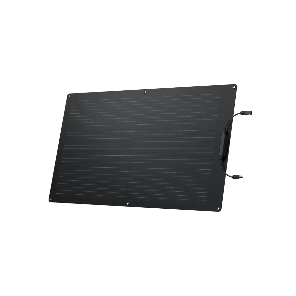 EcoFlow 100W Flexible Solar Panel