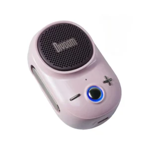 Divoom 604442 iTour-S Speaker Pink
