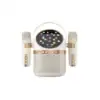 Philips TAS2508 Karaoke Bluetooth Speaker
