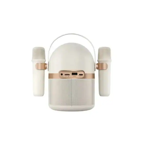 Philips TAS2508 Karaoke Bluetooth Speaker - Image 3